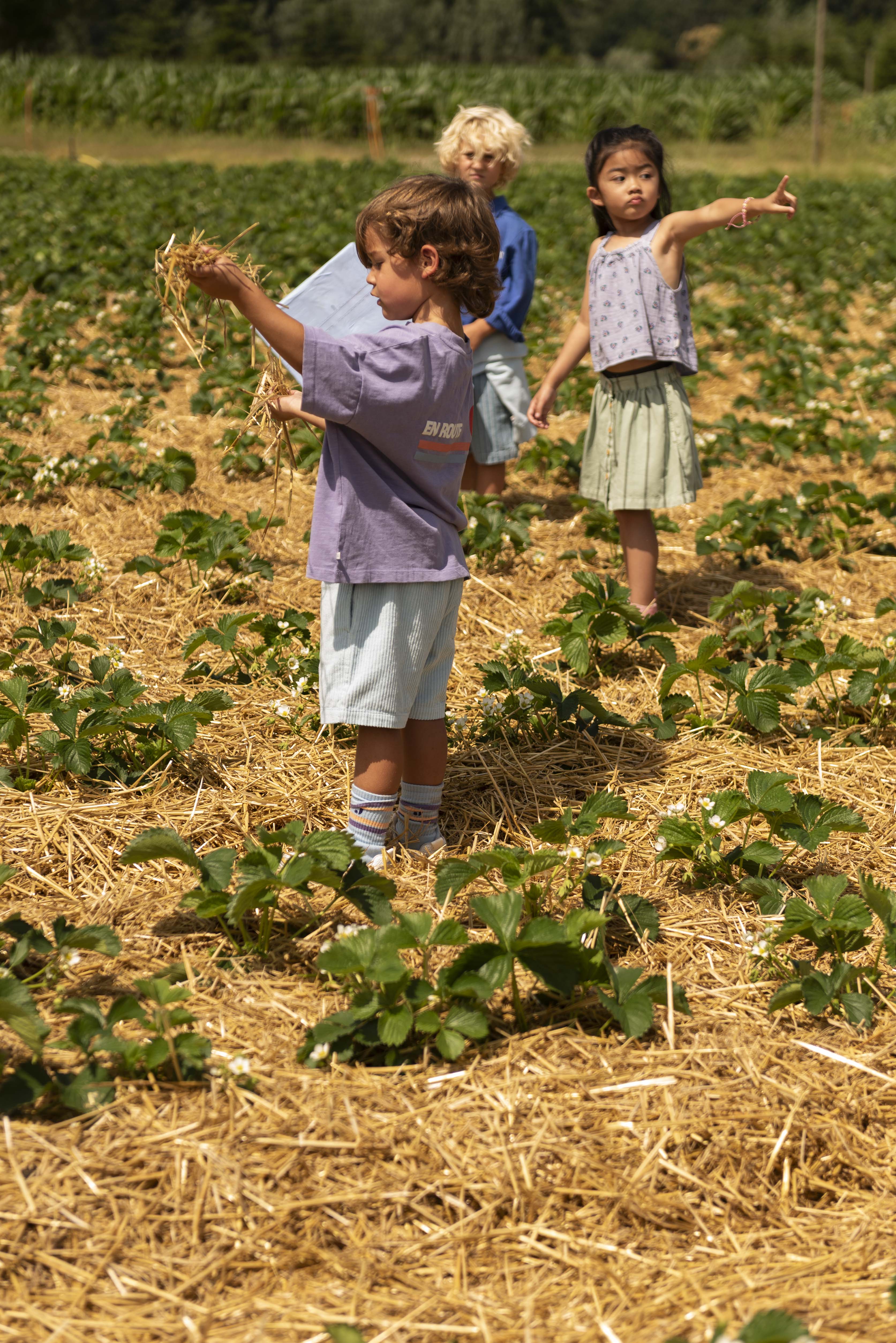 Hug short Water Blue - Jenest