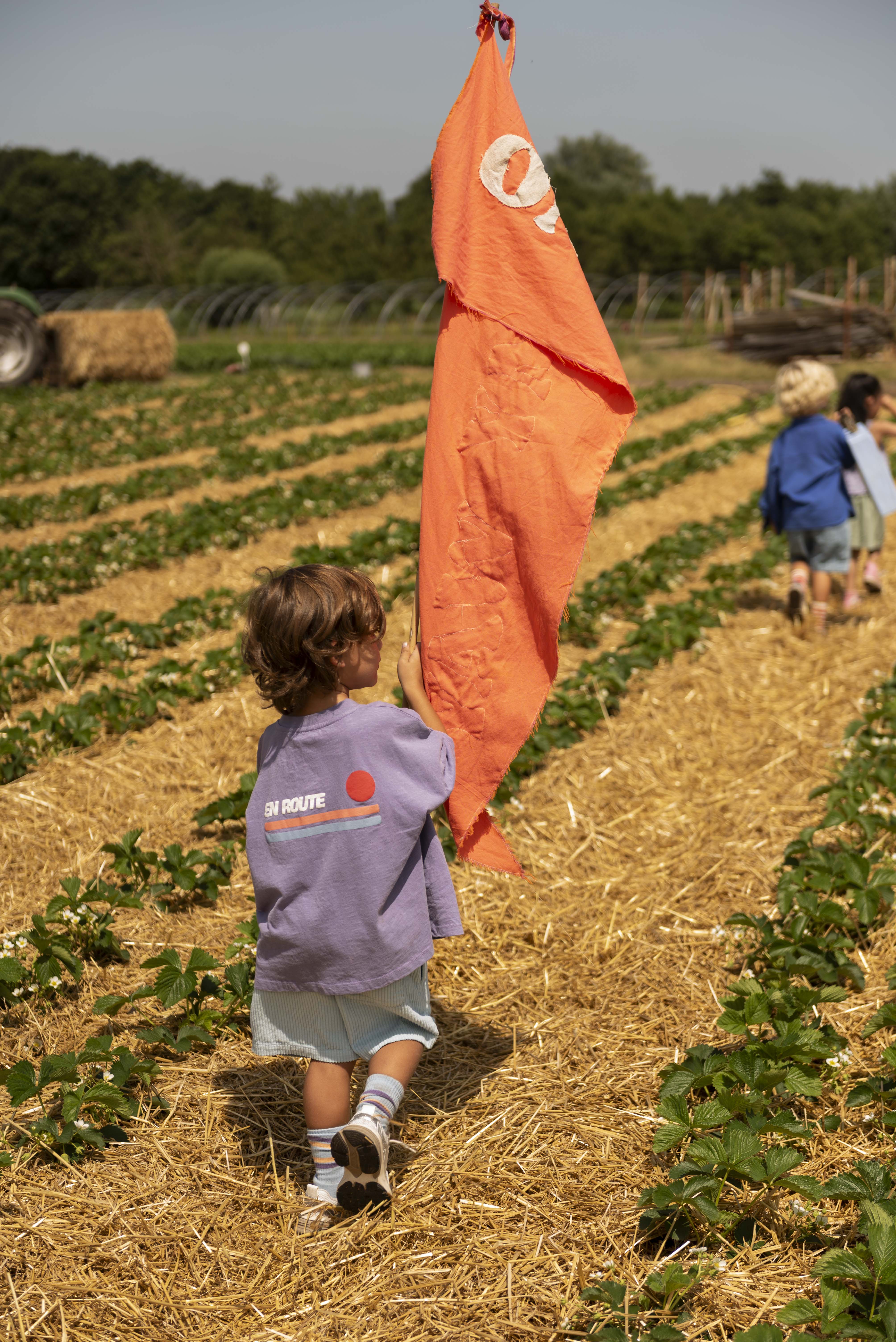 Ben oversized T-shirt Lavender Purple - Jenest