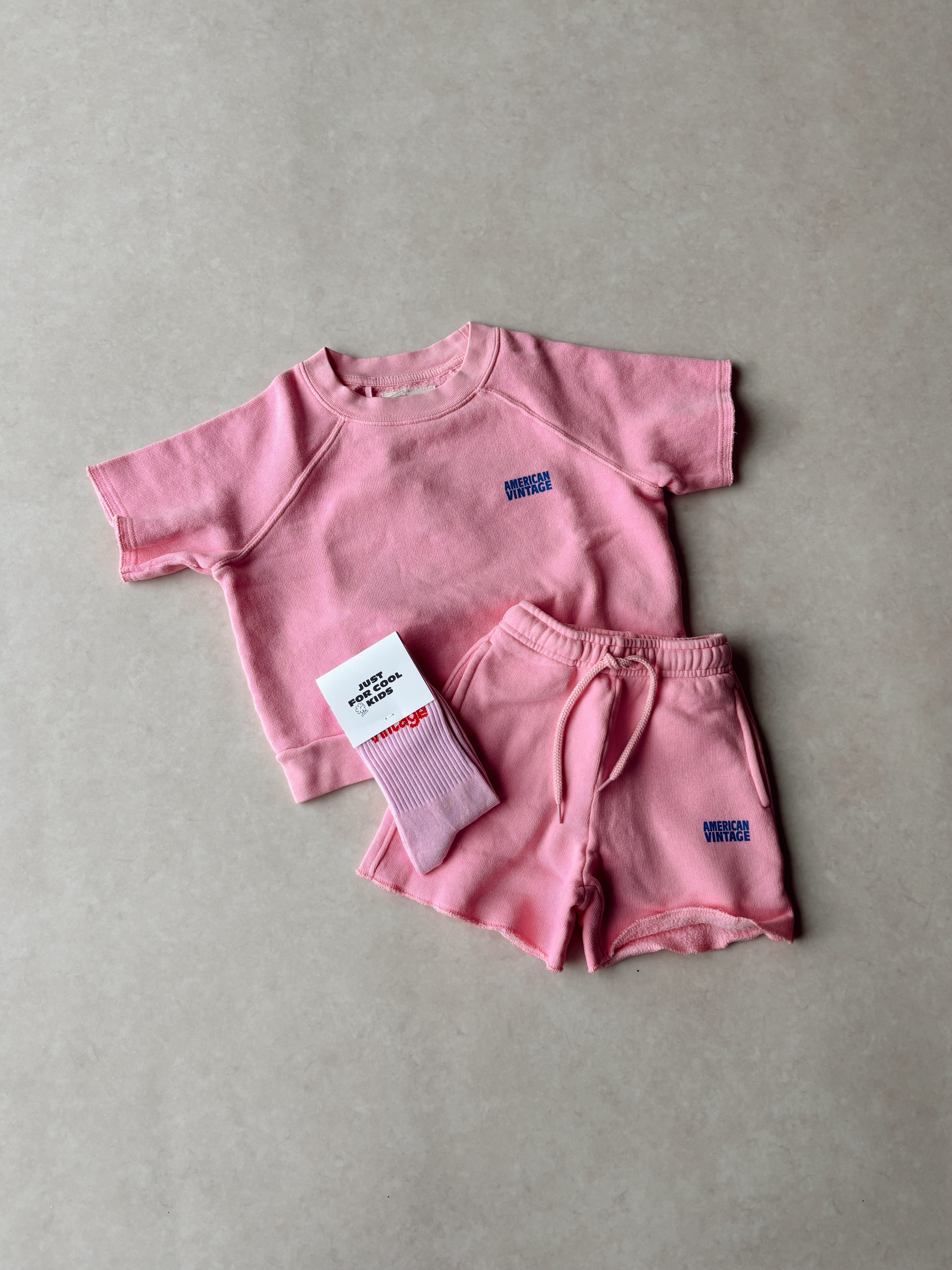 Izubird T-shirt Pink - American Vintage