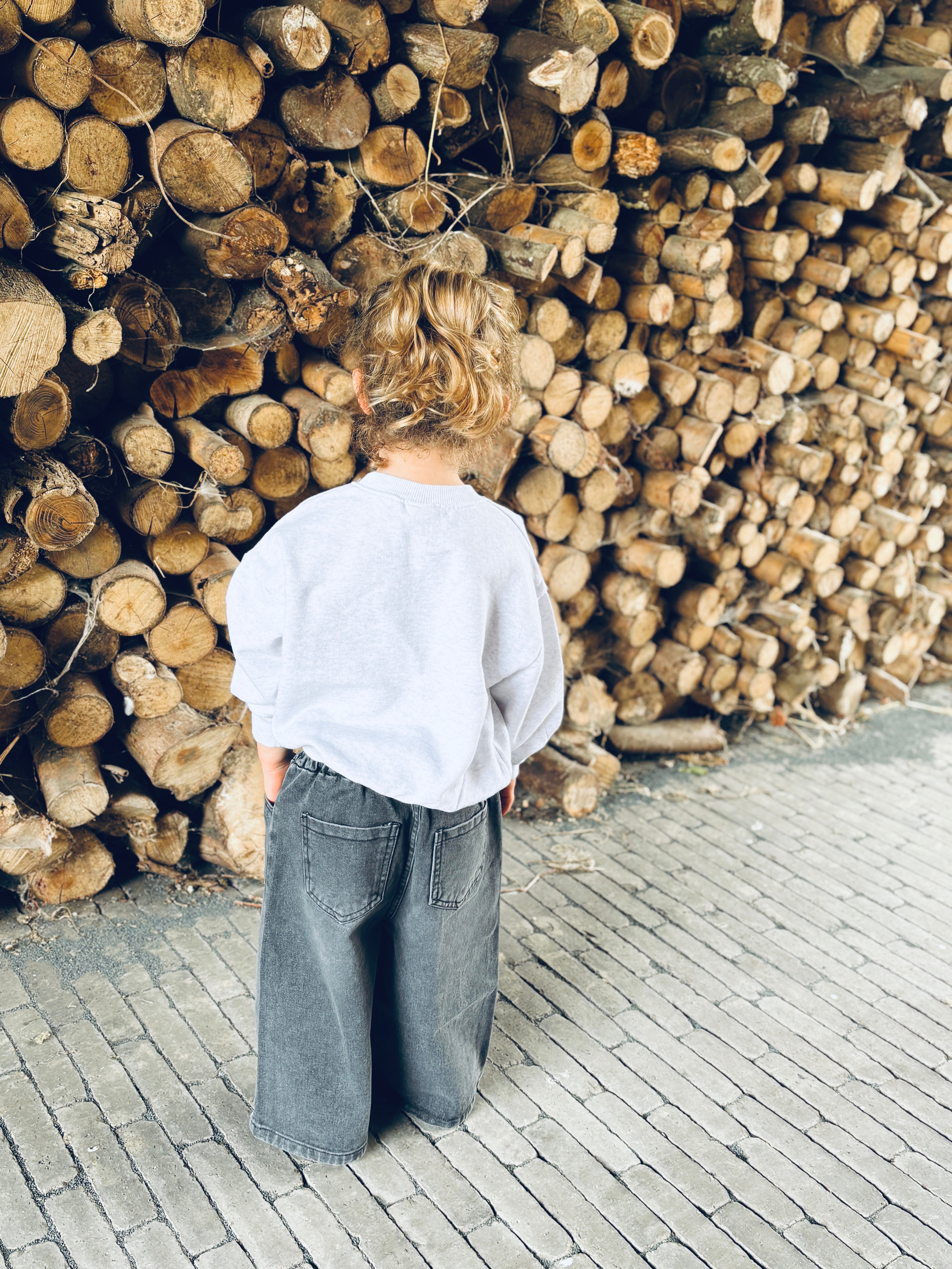 Dog lover sweatshirt