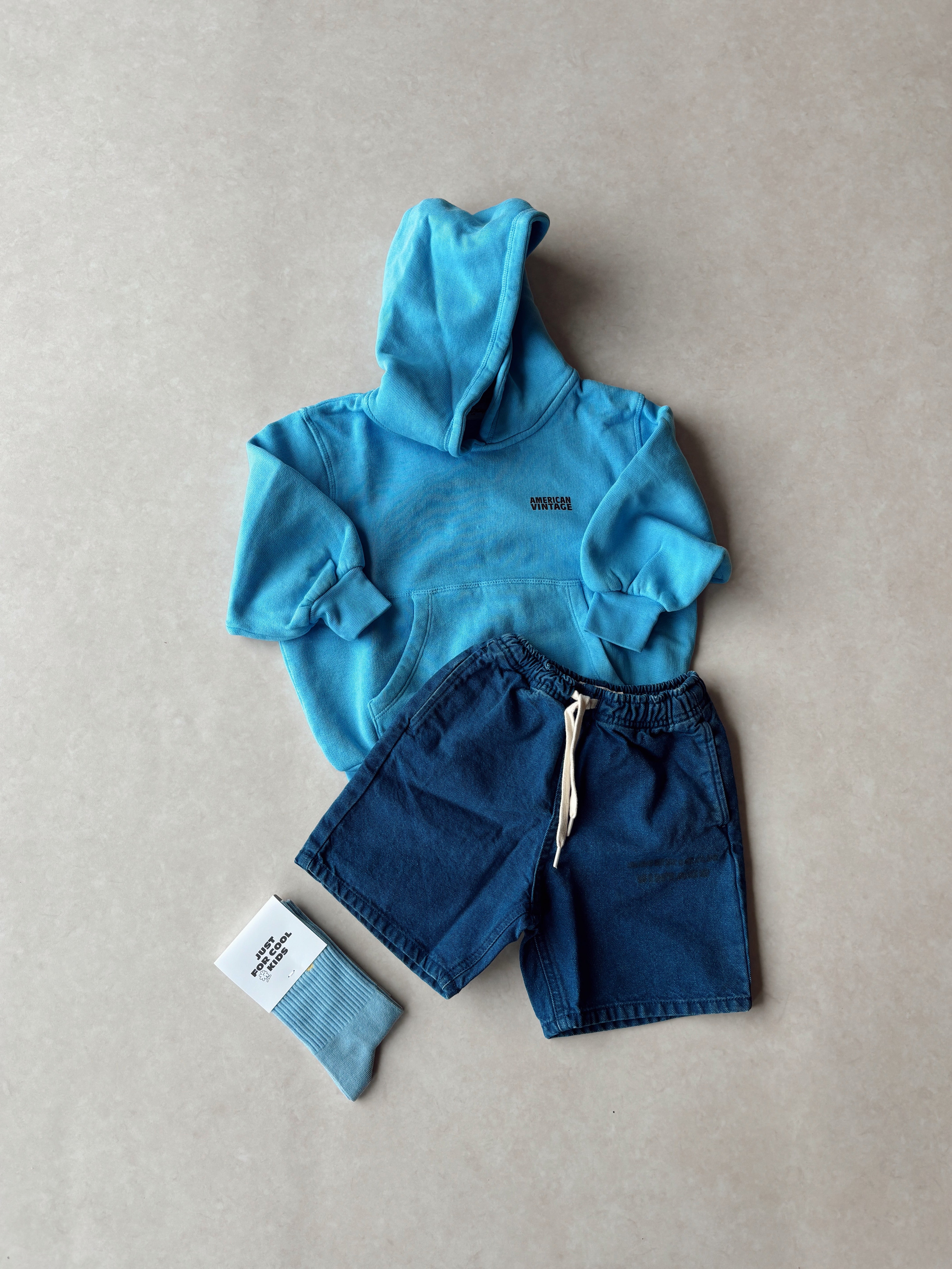 Izubird sweatshirt Blue ciel - American Vintage