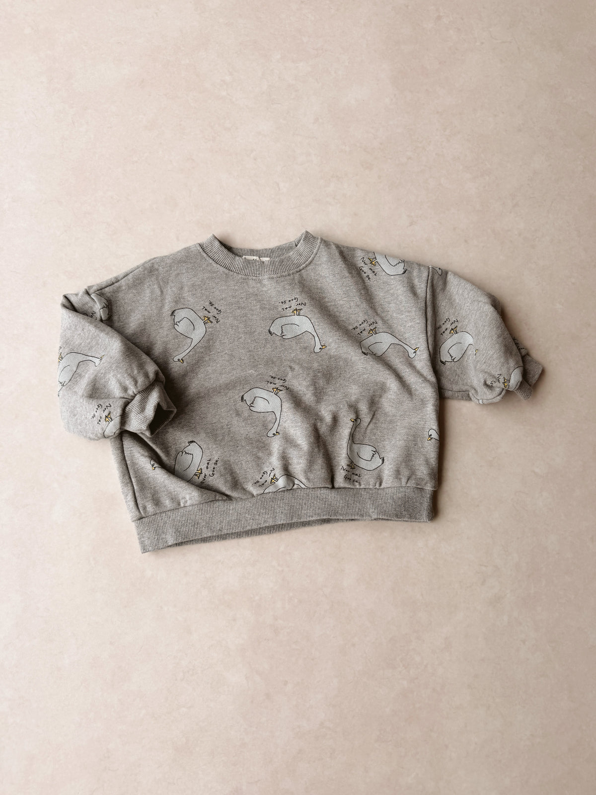 Duck all-over sweater