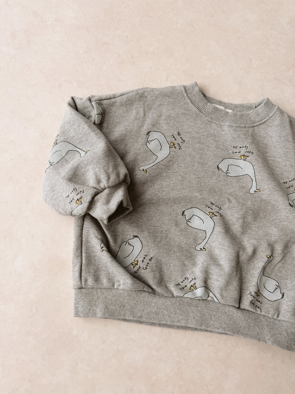 Duck all-over sweater